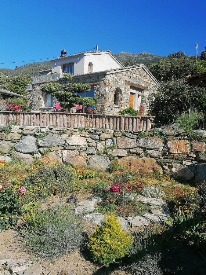 Logement De Charme Avec Piscine Privative Pino Екстер'єр фото
