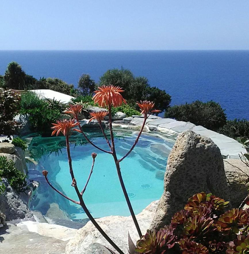 Logement De Charme Avec Piscine Privative Pino Екстер'єр фото