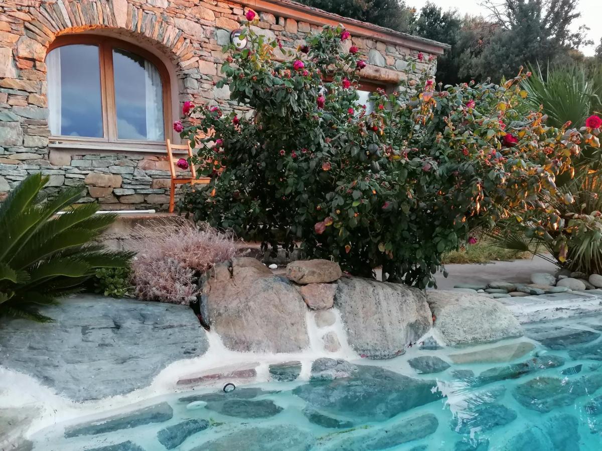 Logement De Charme Avec Piscine Privative Pino Екстер'єр фото